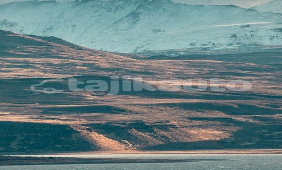 Medium with watermark image