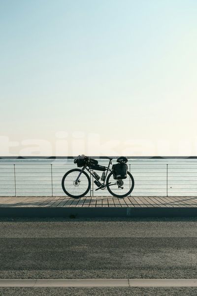 Big with watermark image