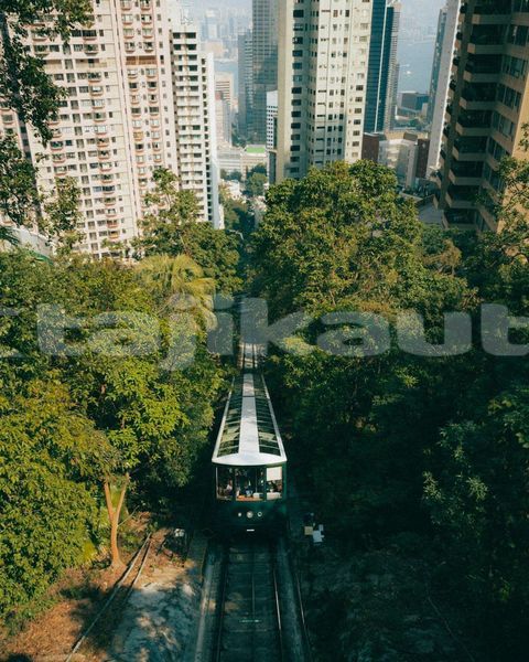 Big with watermark image