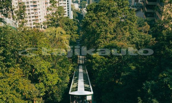 Medium with watermark image