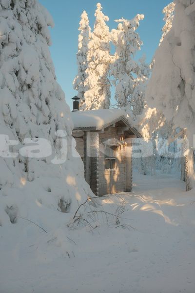 Big with watermark image
