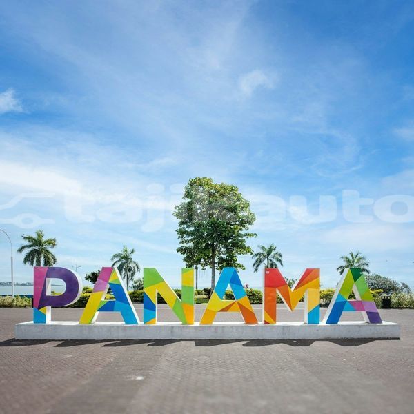 Big with watermark image