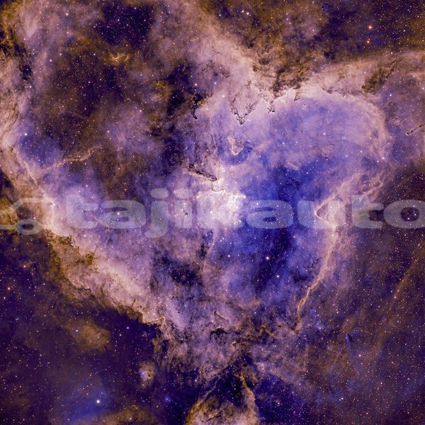 Big with watermark image