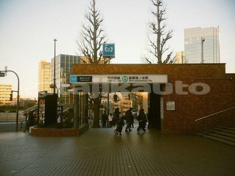 Big with watermark image