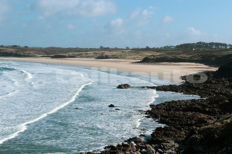 Big with watermark image