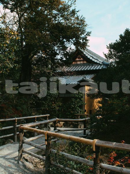 Big with watermark image