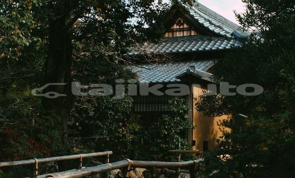 Medium with watermark image