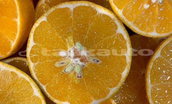 Medium with watermark image