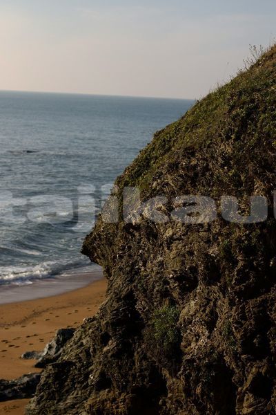 Big with watermark image