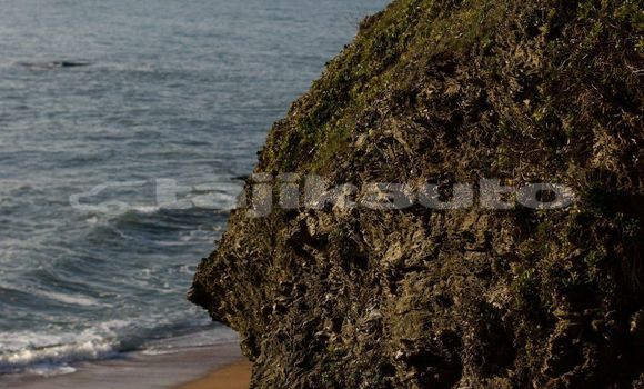 Medium with watermark image
