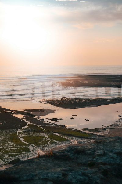 Big with watermark image