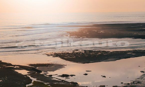 Medium with watermark image