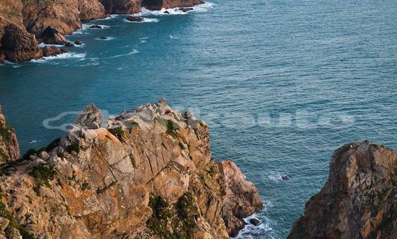 Medium with watermark image