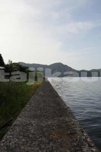 Big with watermark image