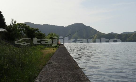 Medium with watermark image