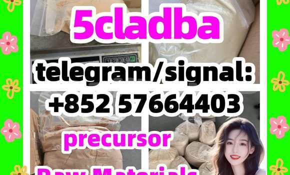 Medium with watermark 55