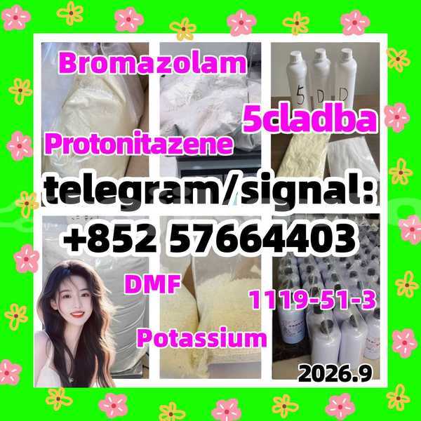 Big with watermark 515
