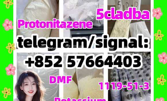 Medium with watermark 515