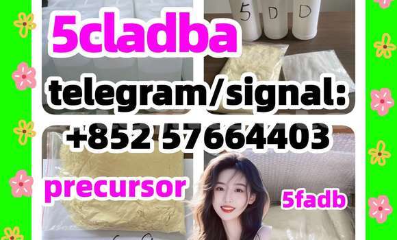 Medium with watermark 514