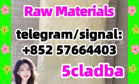 Medium with watermark 53