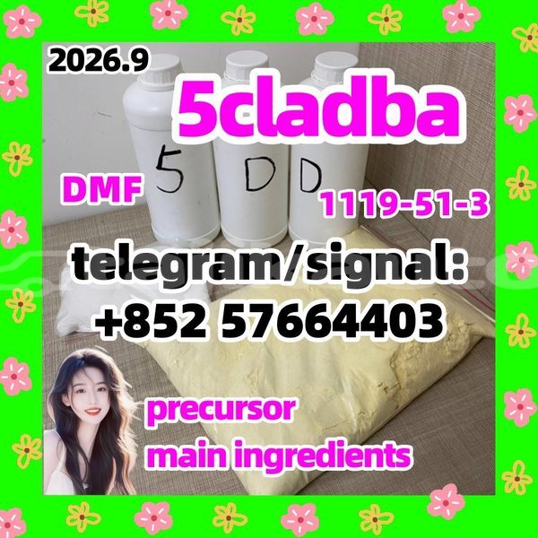 Big with watermark 51