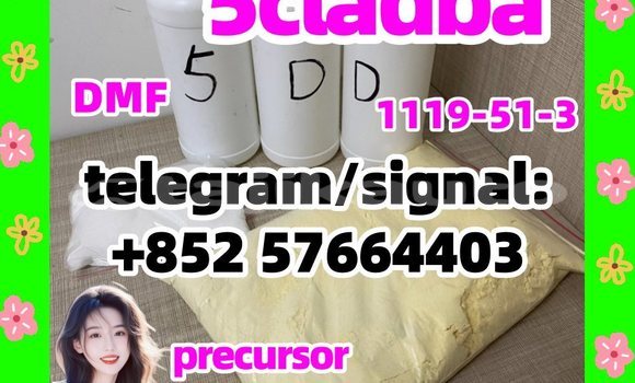 Medium with watermark 51