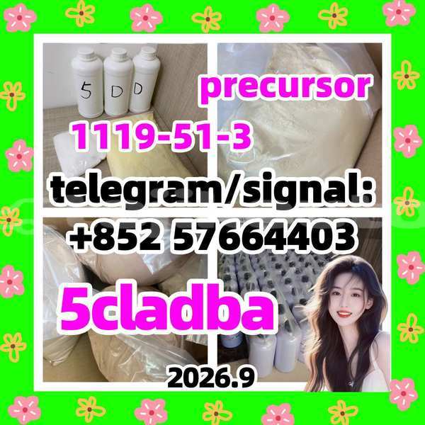 Big with watermark 57