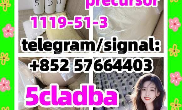 Medium with watermark 57
