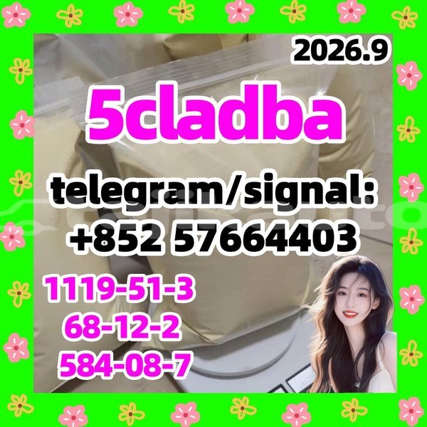 Big with watermark 56