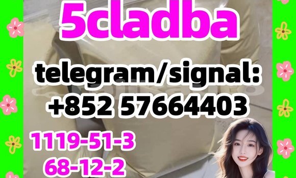 Medium with watermark 56