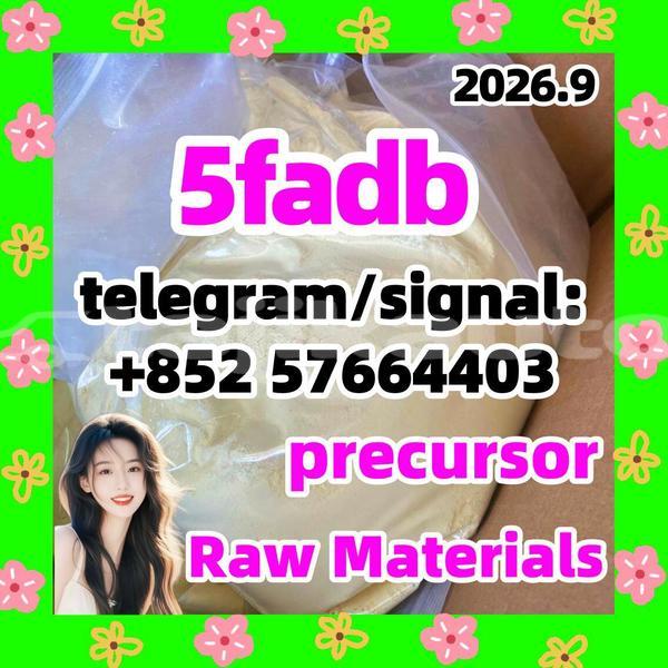 Big with watermark 513