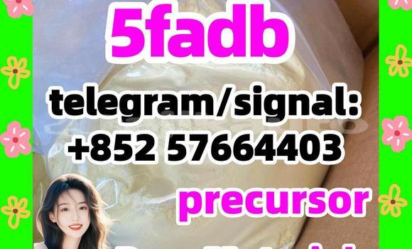 Medium with watermark 513