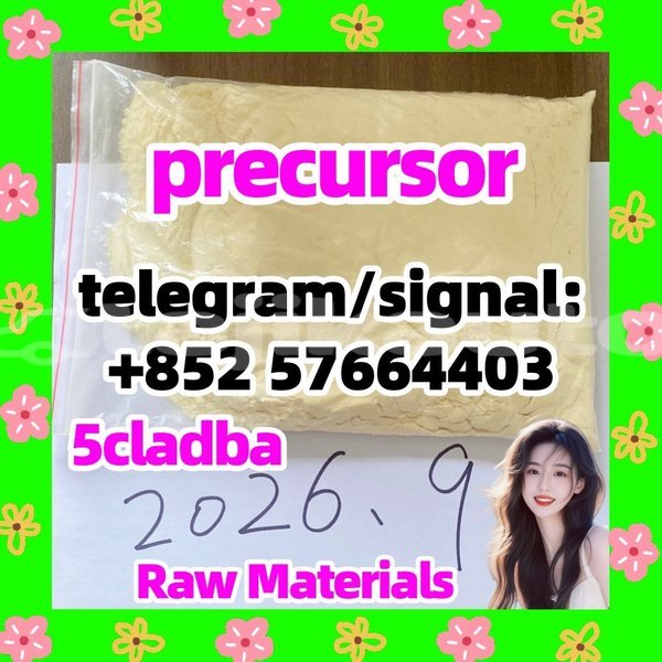Big with watermark 512