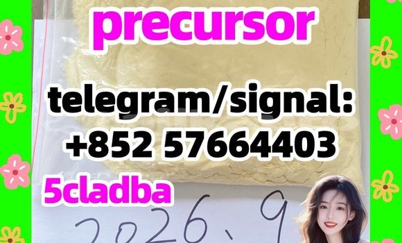 Medium with watermark 512