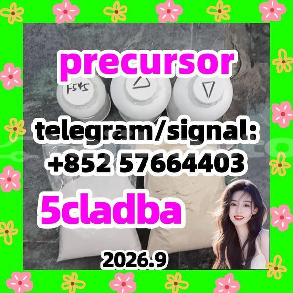 Big with watermark 511