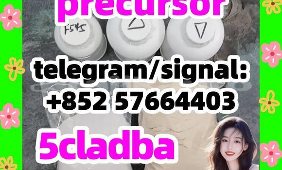 Medium with watermark 511
