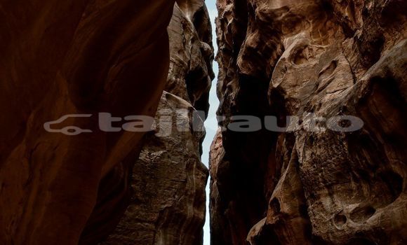 Medium with watermark image