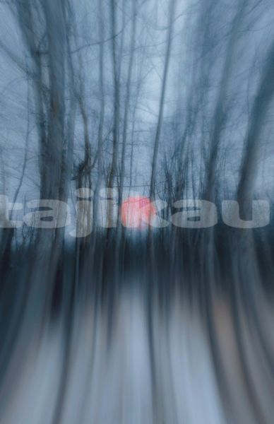 Big with watermark image
