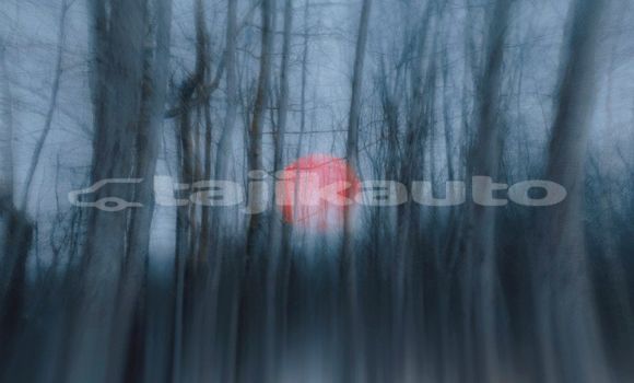 Medium with watermark image