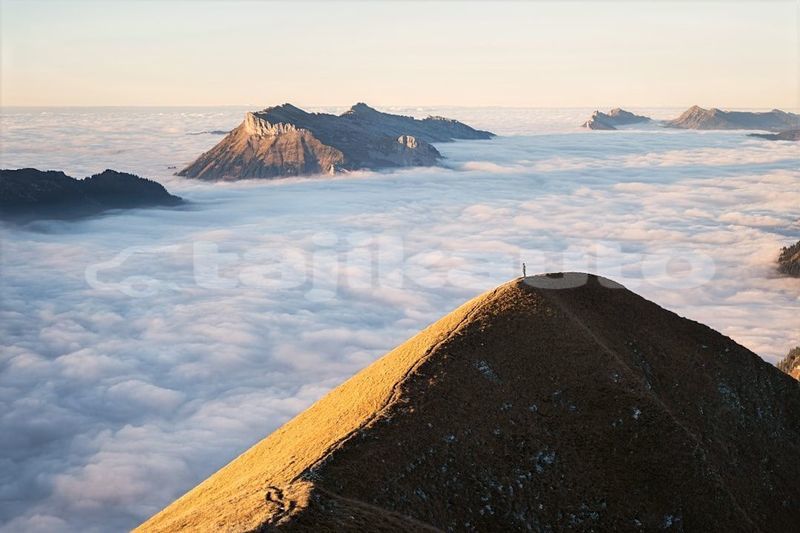 Big with watermark image
