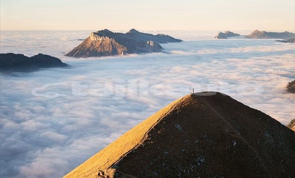 Medium with watermark image