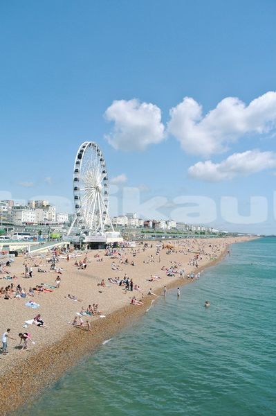 Big with watermark image