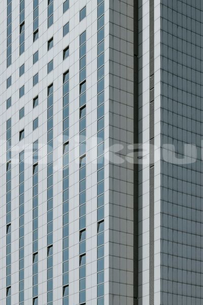 Big with watermark image