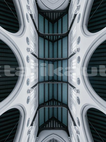 Big with watermark image