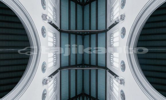 Medium with watermark image