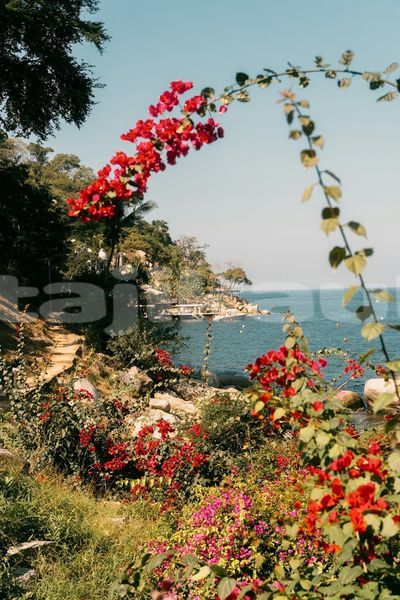 Big with watermark image
