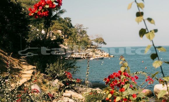 Medium with watermark image