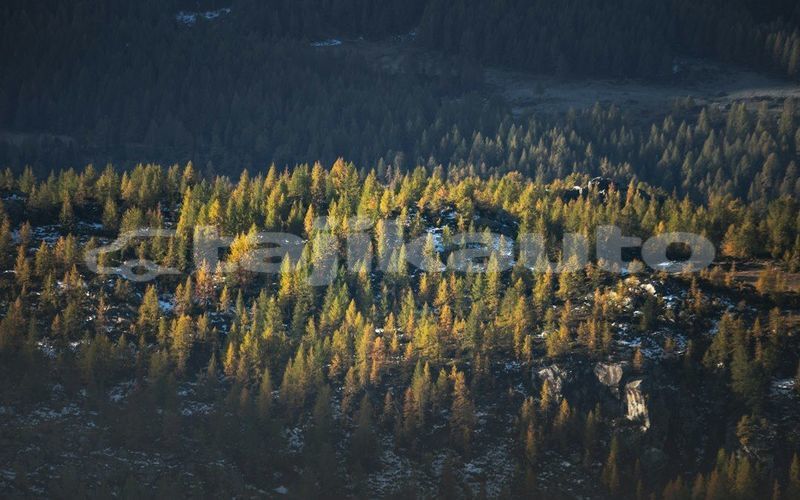 Big with watermark image