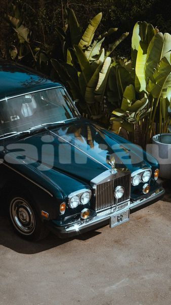 Big with watermark image