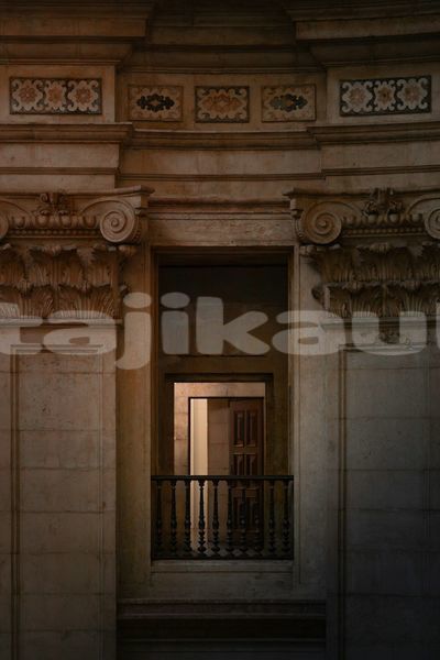 Big with watermark image